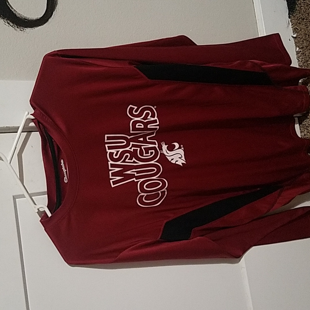 Champion Crimson Lg